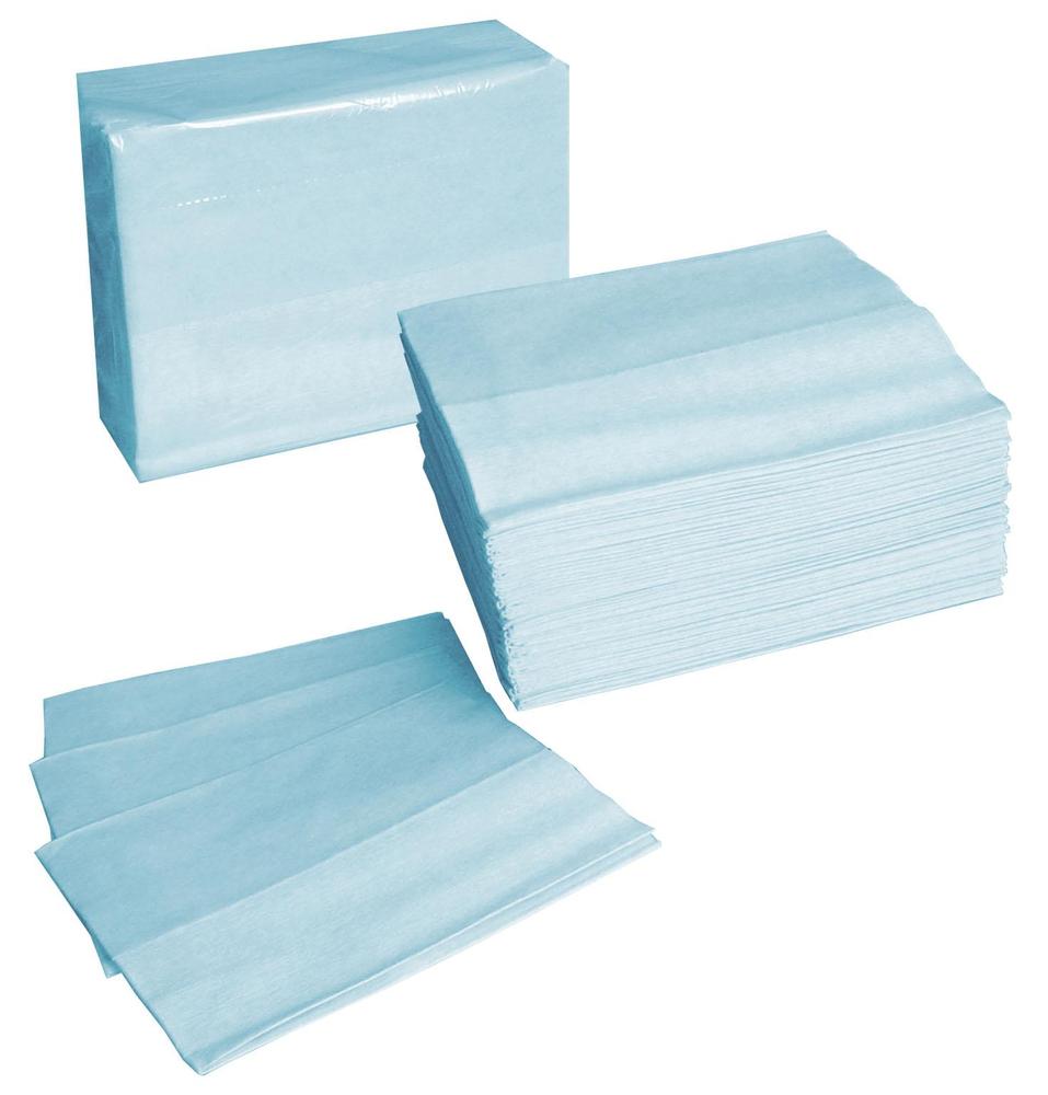 Temca Speciální utěrky WIPEX karton 30x38cm /v bal.50ks/